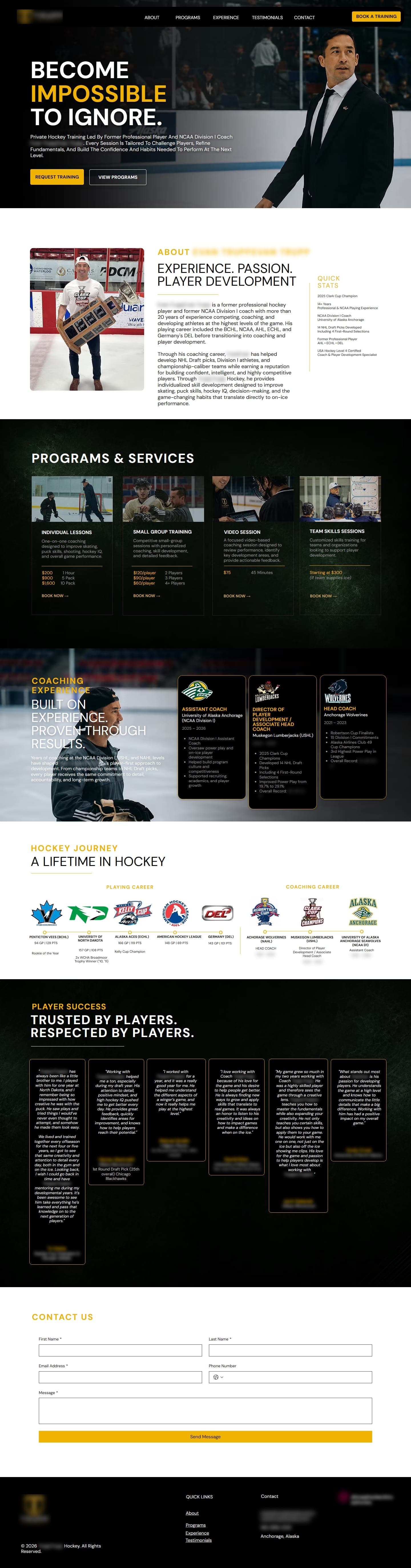 Hockey training website, full page